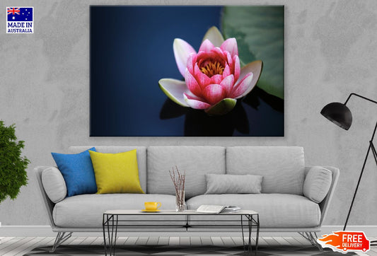 Pink Lotus Flower Closeup Photograph Print 100% Australian Made