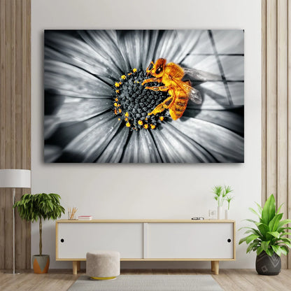 Bee on B&W Sunflower Acrylic Glass Print Tempered Glass Wall Art 100% Made in Australia Ready to Hang