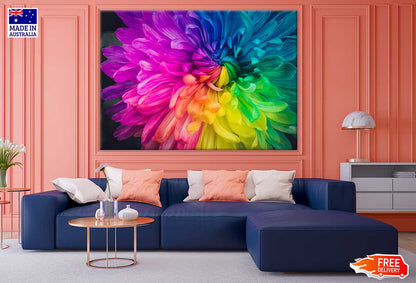 Rainbow Colored Daisy Flower View Photograph Print 100% Australian Made