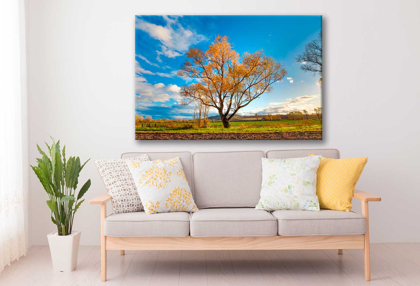 Bella Home Autumnal Tree in a Field Print Canvas Ready to hang