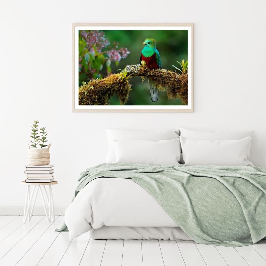 Bird on a Tree Scenery Photograph Home Decor Premium Quality Poster Print Choose Your Sizes