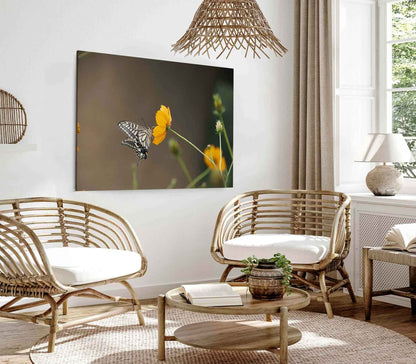 Bella Home Butterfly Sitting on a Flower View Print Canvas Ready to hang