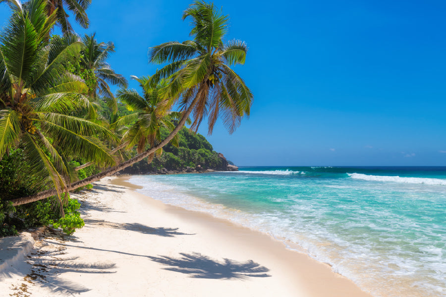 Sea & Palm Trees Jamaica Island Photograph Print 100% Australian Made