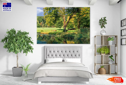 Chairs & Table Near Forest Photograph Print 100% Australian Made