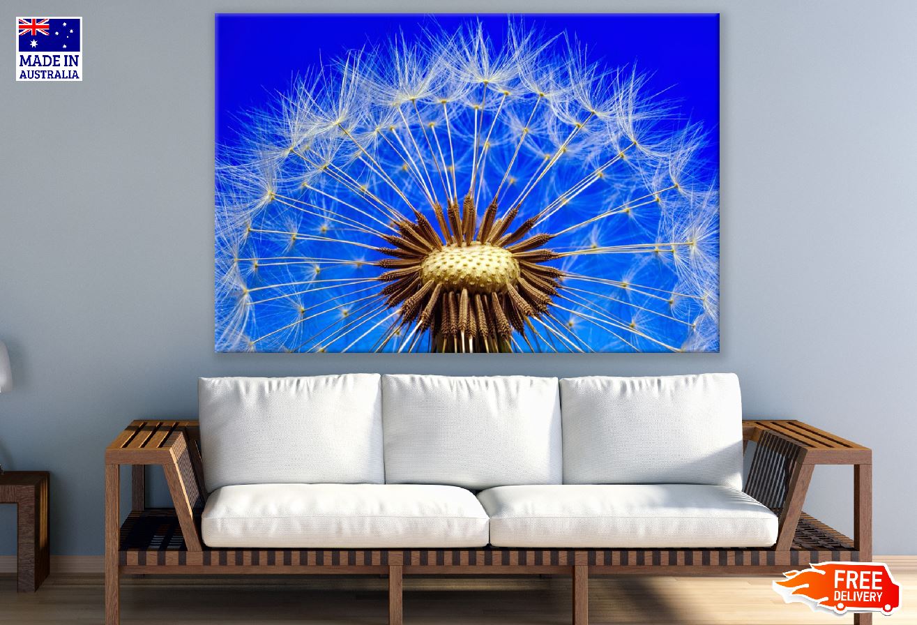 Dandelion Closeup Photograph Print 100% Australian Made