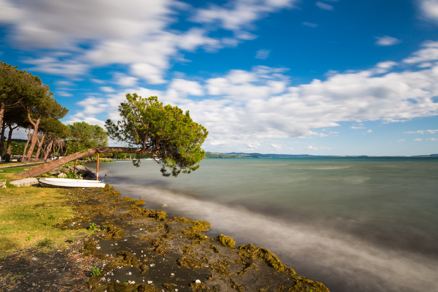 Trees & Lake Sky Scenery View Photograph Print 100% Australian Made