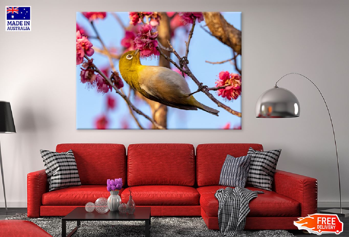 Red Plum Flower & White Eye Bird Photograph Print 100% Australian Made