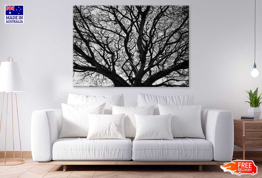 Leafless Tree Branches B&W View Photograph Print 100% Australian Made