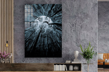 Full Moon Trees View Print Tempered Glass Wall Art 100% Made in Australia Ready to Hang