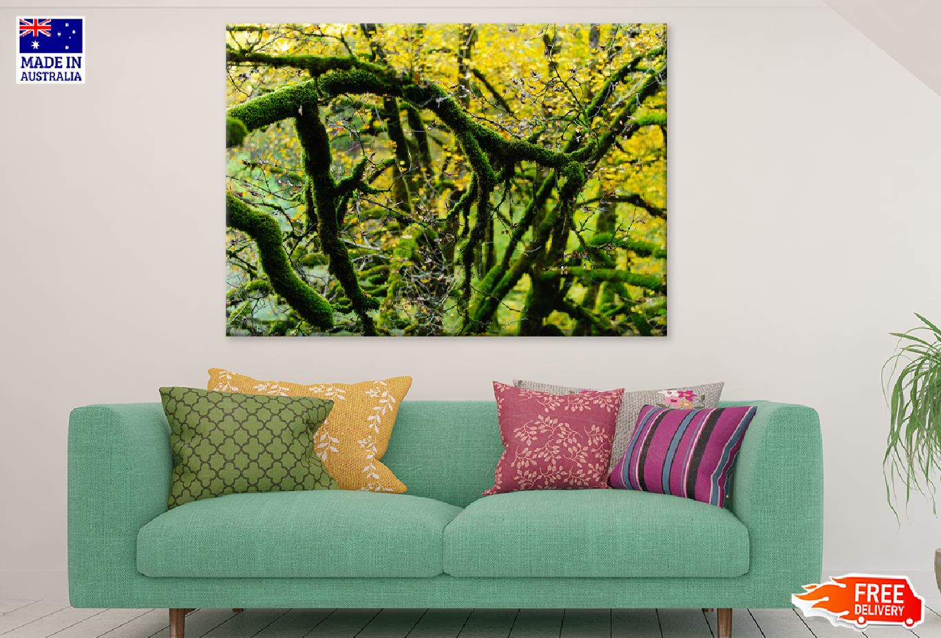 Mossy Tree Branches View Photograph Print 100% Australian Made