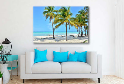 Bella Home Coconut Palm Trees In Mexico Print Canvas Ready to hang