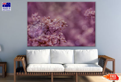 Pink Blossom Flowers Photograph Print 100% Australian Made