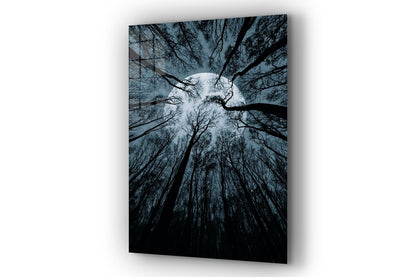 Full Moon Trees View Print Tempered Glass Wall Art 100% Made in Australia Ready to Hang