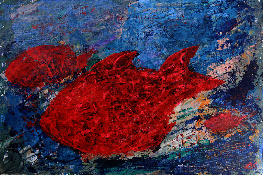 Red Fish Abstract Fine Arts Design Print 100% Australian Made