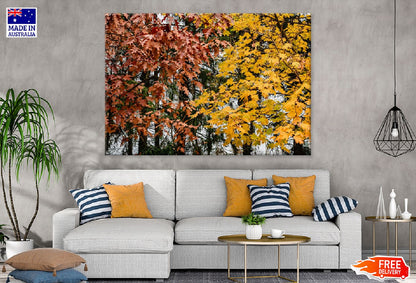 Orange Yellow Autumn Leaves Trees Photograph Print 100% Australian Made