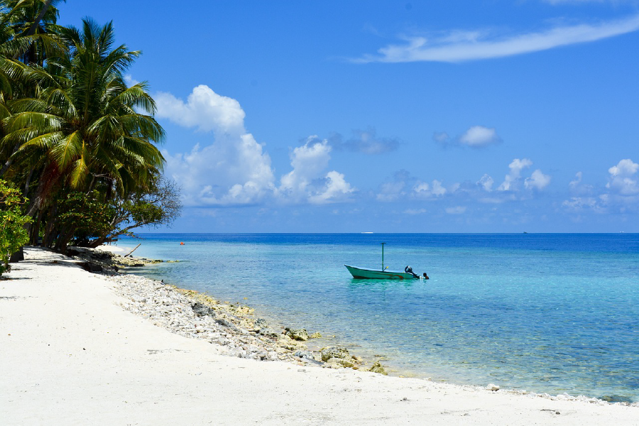 Boat On Sea & Palm Trees View Photograph Home Decor Premium Quality Poster Print Choose Your Sizes