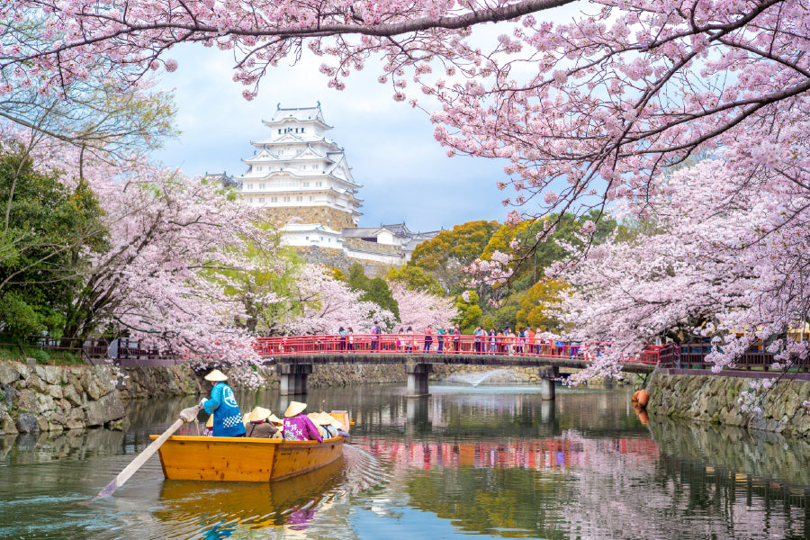 Boat on Cherry Meguro River Photograph Japan Home Decor Premium Quality Poster Print Choose Your Sizes