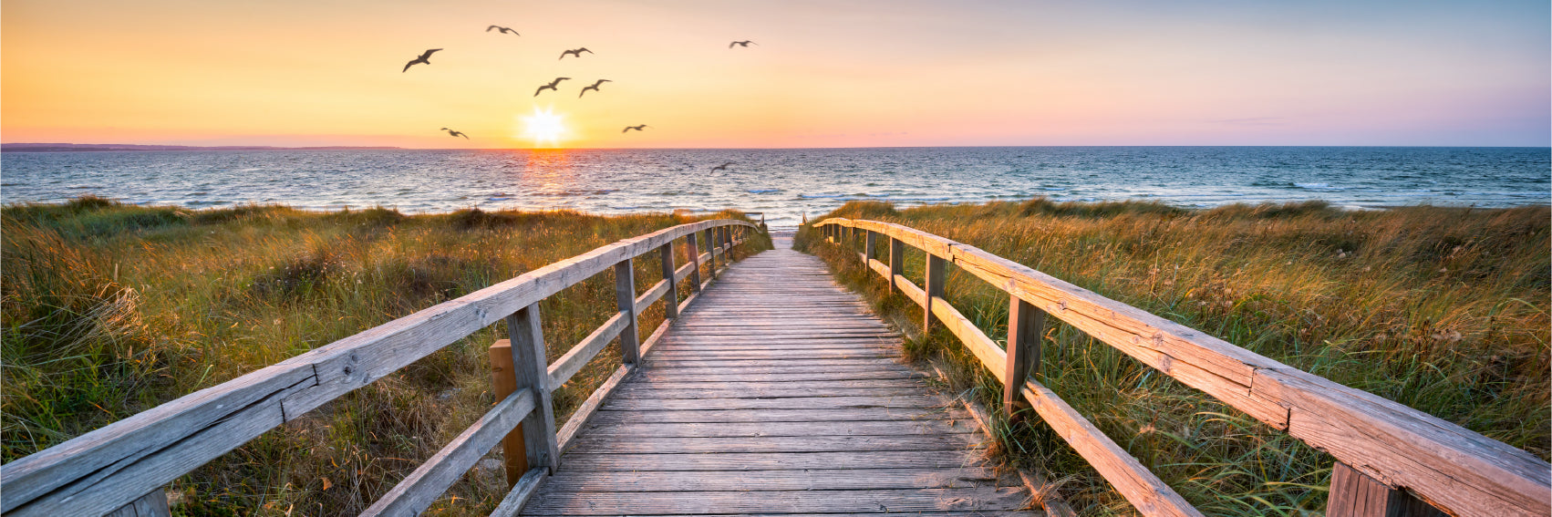 Panoramic Canvas Pier Dunes North Sea View Photograph High Quality 100% Australian Made Wall Canvas Print Ready to Hang