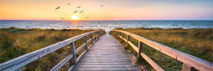 Panoramic Canvas Pier Dunes North Sea View Photograph High Quality 100% Australian Made Wall Canvas Print Ready to Hang
