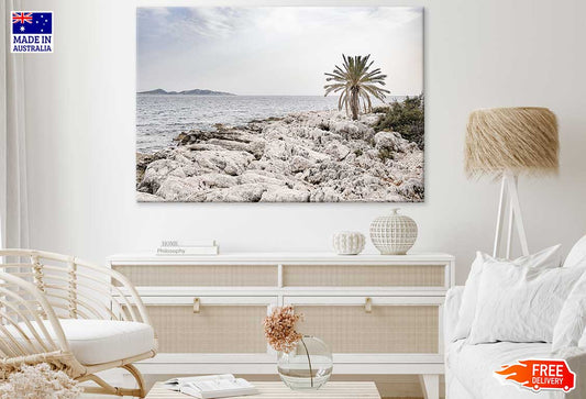 Rocky Coast & Palm Tree Sea View Print 100% Australian Made