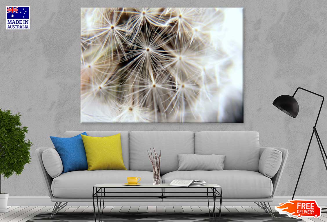 Dandelion Closeup View Photograph Print 100% Australian Made