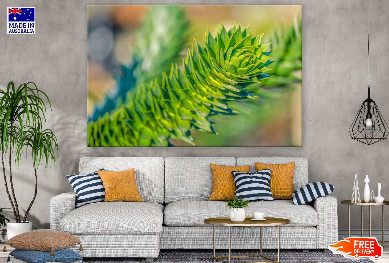 Araucana Chile Pine Tree Closeup Photograph Print 100% Australian Made