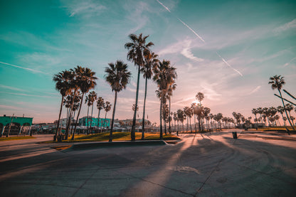 Palm Trees on Venice Sunrise View Photograph Home Decor Premium Quality Poster Print Choose Your Sizes