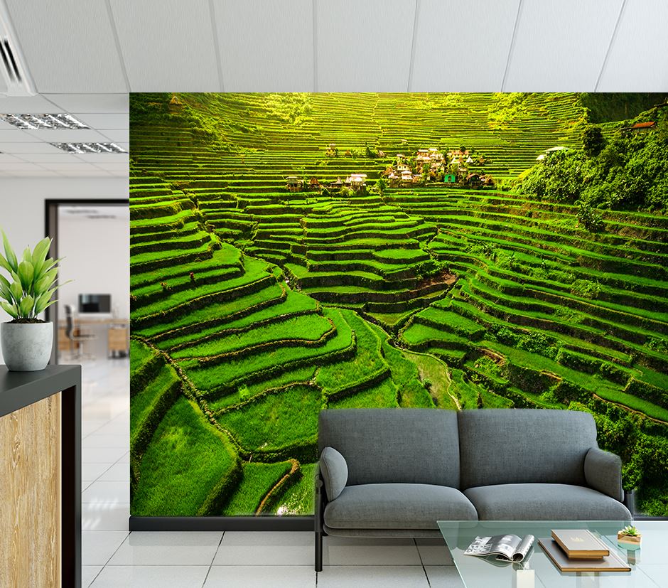 Wallpaper Murals Peel and Stick Removable Stunning Fields High Quality