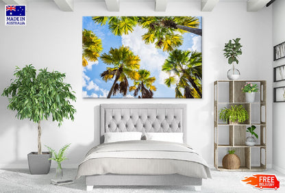 Palm Trees & Sky View From Below Print 100% Australian Made