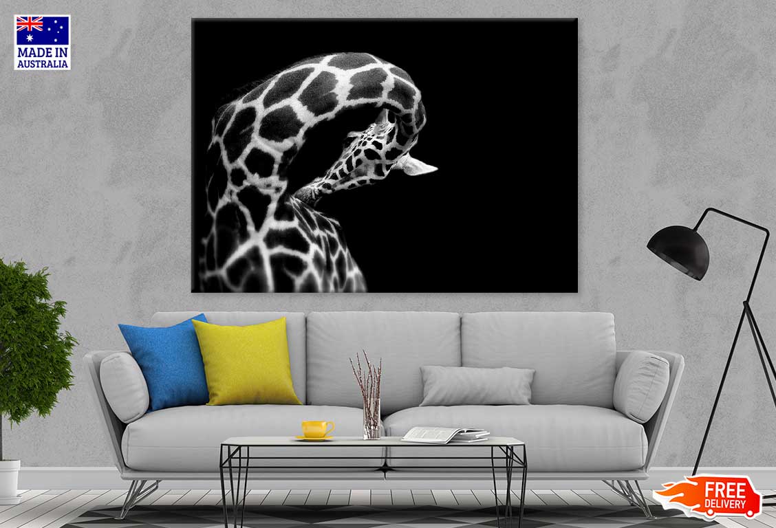 Giraffe B&W View Photograph Print 100% Australian Made