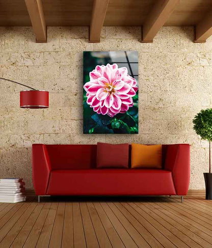 Pink Flower Closeup Photograph Acrylic Glass Print Tempered Glass Wall Art 100% Made in Australia Ready to Hang