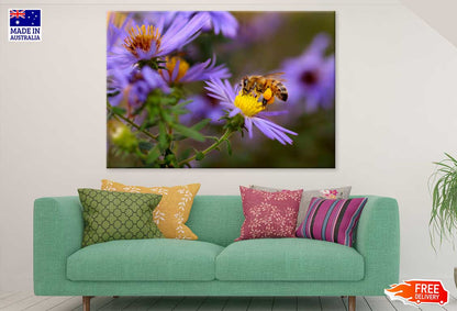 Bee on Purple Pollen Flower View Photograph Print 100% Australian Made