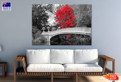 Red Autumn Tree with Bridge B&W Photograph Print 100% Australian Made