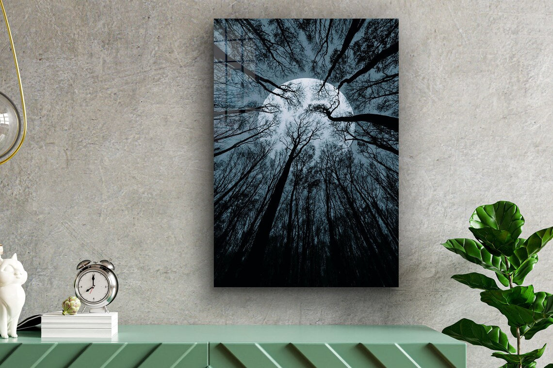 Full Moon Trees View Print Tempered Glass Wall Art 100% Made in Australia Ready to Hang