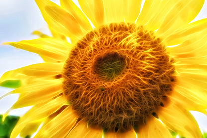 Sunflower Digital Art Design Home Decor Premium Quality Poster Print Choose Your Sizes