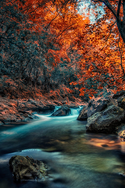 Autumn Trees & River Transylvania View Photograph Home Decor Premium Quality Poster Print Choose Your Sizes
