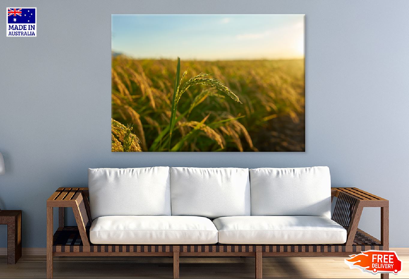 Rice Plant Sunset Scenery View Photograph Print 100% Australian Made