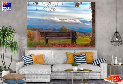 Lonely Bench Under Autumn Tree Photograph Print 100% Australian Made