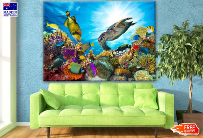 Underwater Fish & Other Animals Print 100% Australian Made