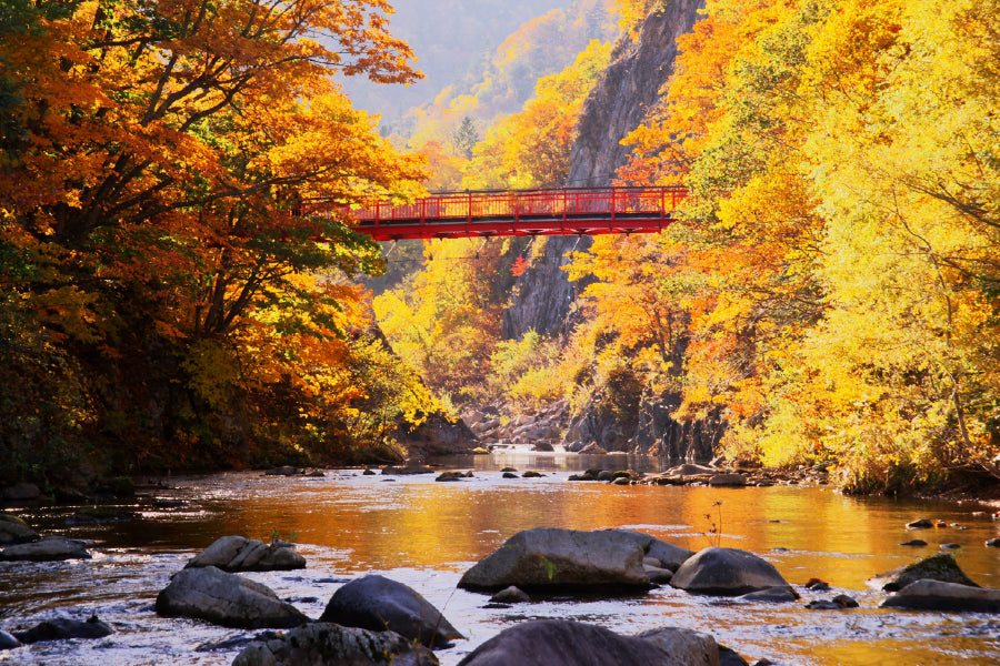 Autumn Forest Lake with Bridge Photograph Home Decor Premium Quality Poster Print Choose Your Sizes