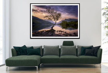 Alone Tree on Lake Sunset Scenery Photograph Home Decor Premium Quality Poster Print Choose Your Sizes