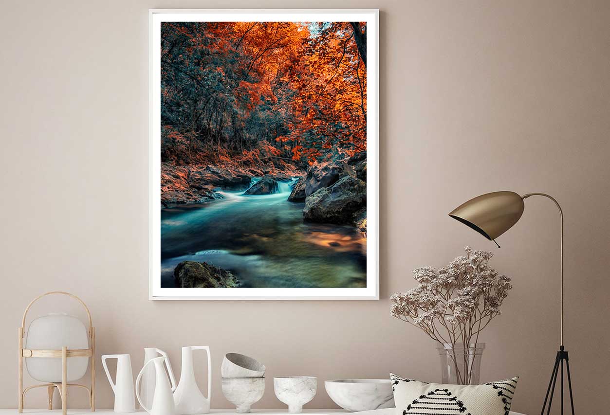 Autumn Trees & River Transylvania View Photograph Home Decor Premium Quality Poster Print Choose Your Sizes