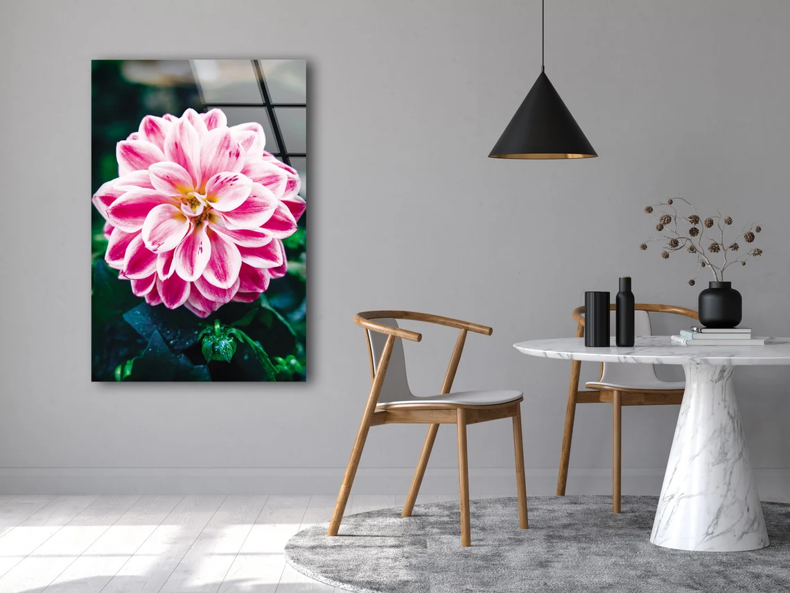 Pink Flower Closeup Photograph Acrylic Glass Print Tempered Glass Wall Art 100% Made in Australia Ready to Hang