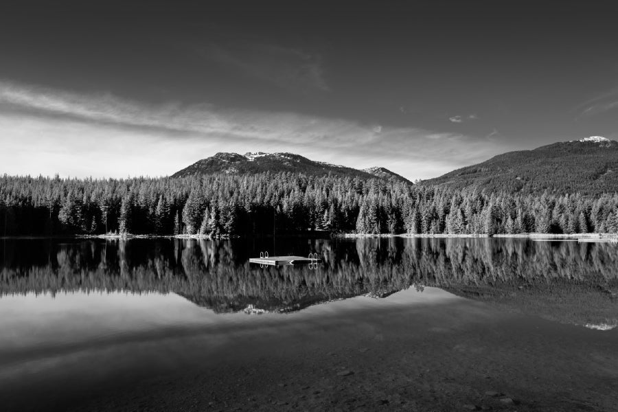 Trees View on Lake B&W View Photograph Print 100% Australian Made