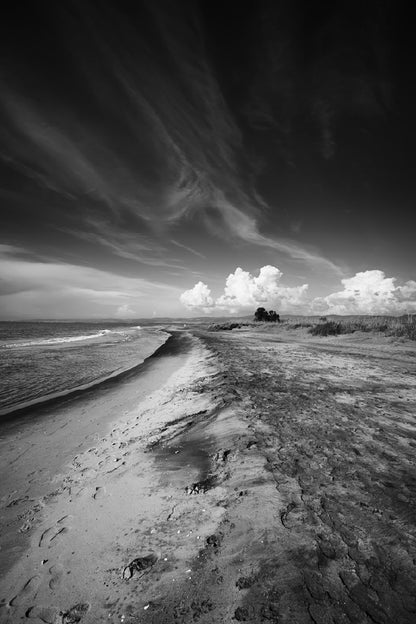 Torre Flavia Beach B&W Photograph Print 100% Australian Made