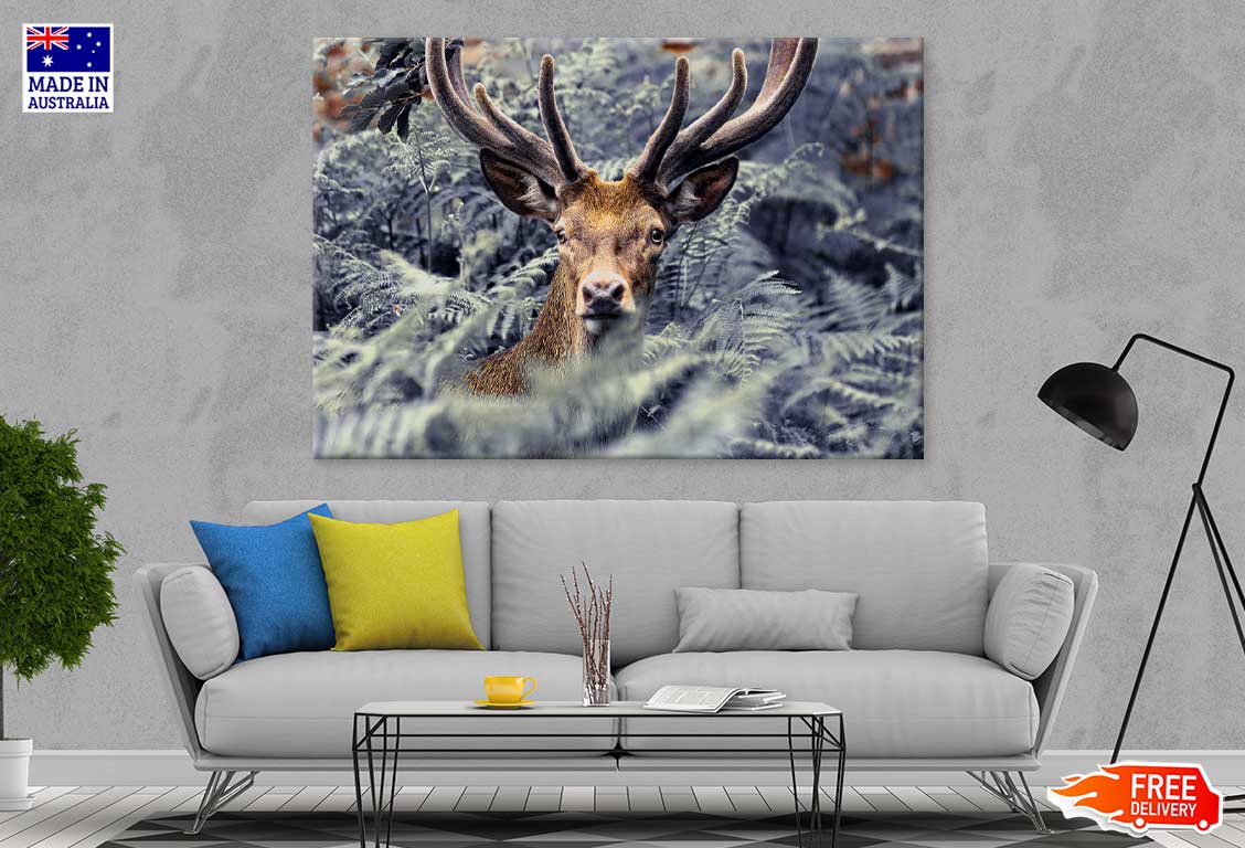 Trees Covered Deer Closeup View Photograph Print 100% Australian Made