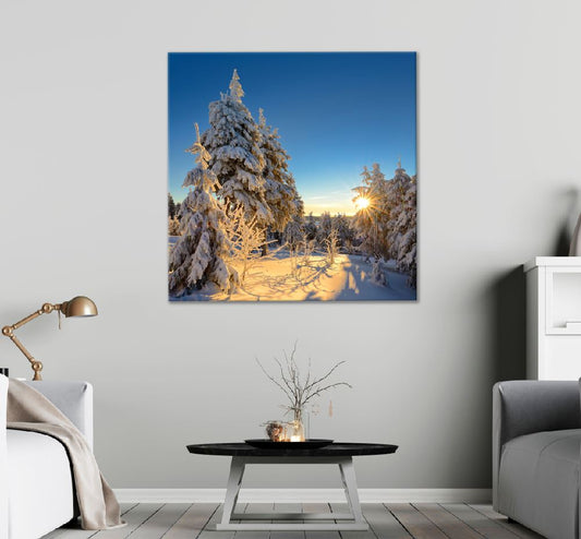 Square Canvas Snow Covered Trees Scenery Photograph High Quality Print 100% Australian Made