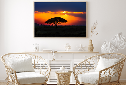 African Tree On Sunset View Home Decor Premium Quality Poster Print Choose Your Sizes