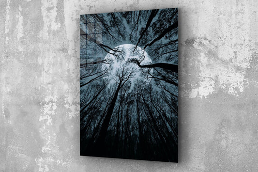 Full Moon Trees View Print Tempered Glass Wall Art 100% Made in Australia Ready to Hang