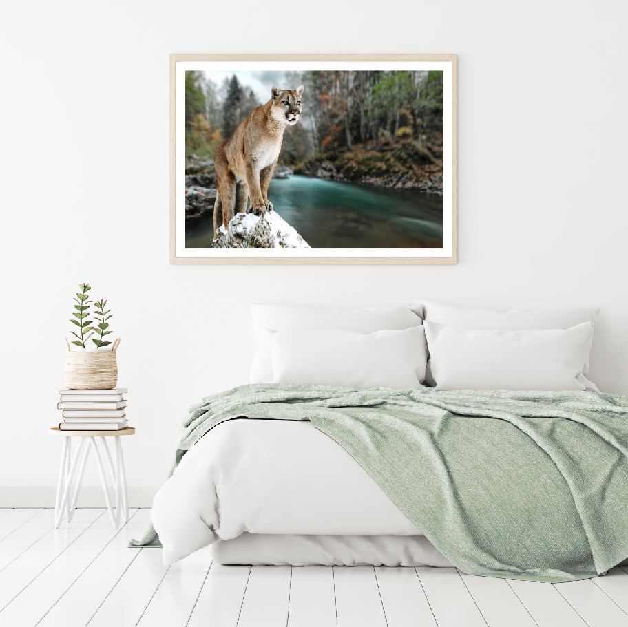 Puma on a Rock Near River Scenery Home Decor Premium Quality Poster Print Choose Your Sizes